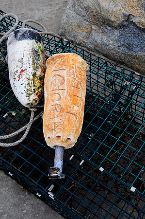 crane beach buoys_DSC1133
