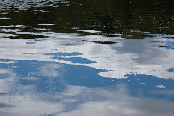 Reflections on water.JPG