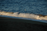 DSC_2325.JPG