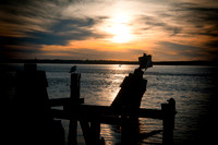 DSC_5480fltr