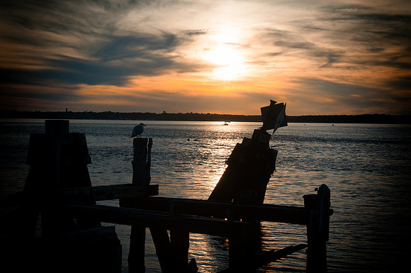 DSC_5480fltr