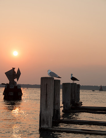 713 seagull wath towers