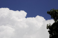 _DSC0002.JPG