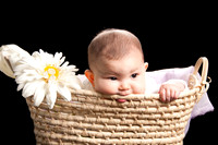 maya_basket20215
