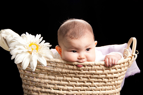 maya_basket20215