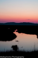 plum Island at Dusk-1