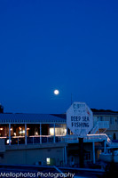 Moonlight on Stripers-1-2