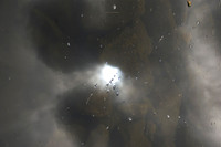 Sunburst.JPG