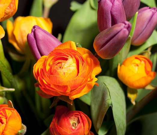 flowers cropped16