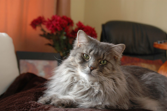 DSC_1452.JPG