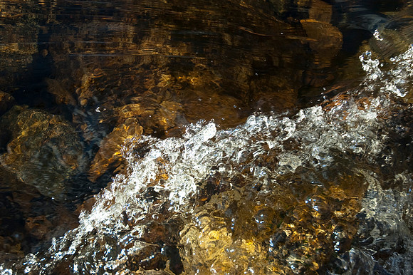 Clarity9.JPG