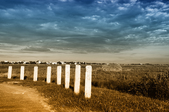 0713 Plum Island 001