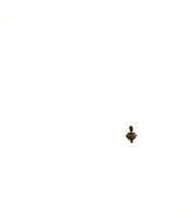 Lone Duck2