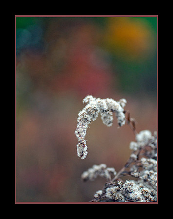 _DSC6696-web