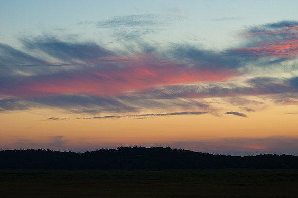 DSC_5146