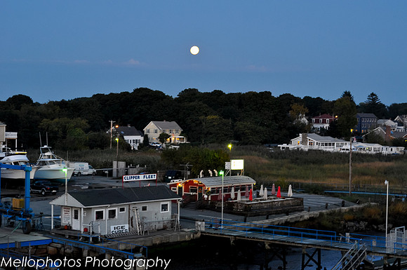 Moonlight on stripers-1-4