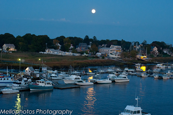 Moonlight on stripers-1-3