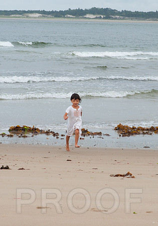 DSC_4955cropped