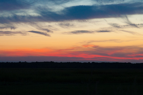 DSC_5155
