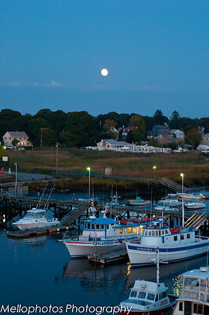 Moonlight on stripers3-1