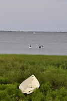 _DSC0007.JPG