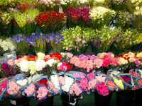 FlowersForSale43rd St.jpg